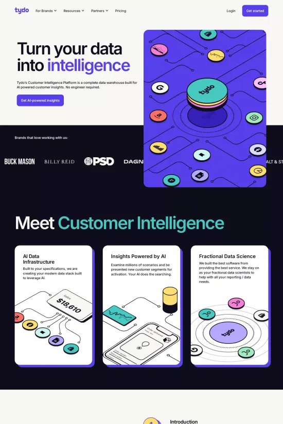 Webflow website example Data Analytics Modern Vibrant