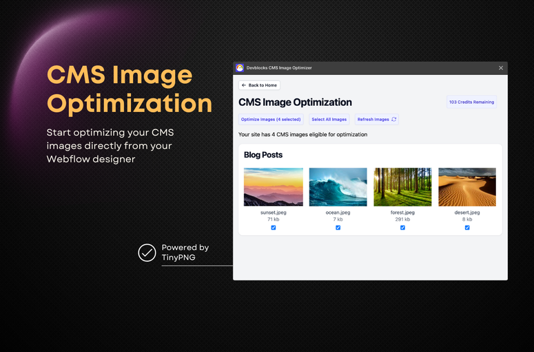 Optimize and convert Webflow CMS images to WebP format with the Devblocks CMS Image Optimizer app. Improve website performance and user experience by reducing file sizes and loading times. Streamline workflow with TinyPNG-powered optimization directly within the Webflow interface. Start optimizing images for free and enjoy enhanced visual quality. Ideal for Webflow designers and developers looking to boost efficiency and SEO rankings.
