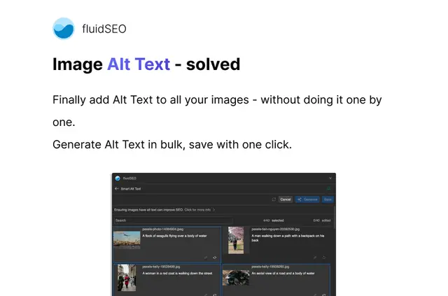 fluidSEO
