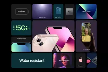 Apply style bento grid