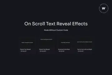 Native Interactions Text Reveal Animations