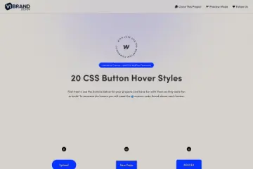 CSS Interactive Button Effects