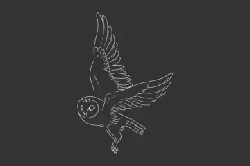 GSAP SVG stroke animation