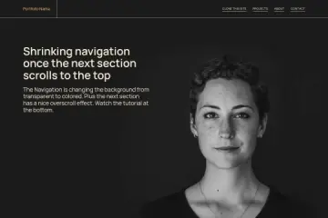 Shrinking Navigation on Scroll