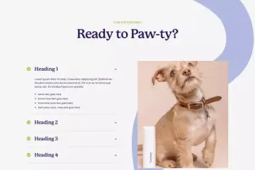 Accordion with Rich Text + Images